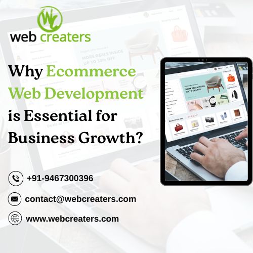 Ecommerce Web Development